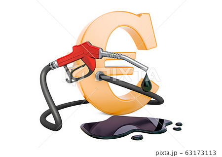 Euro symbol with fuel pump nozzle 63173113