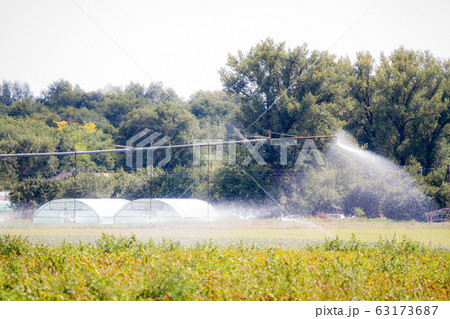 An irrigation pivot watering a field of turnips. An irrigation pivot watering a field of turnips. 63173687