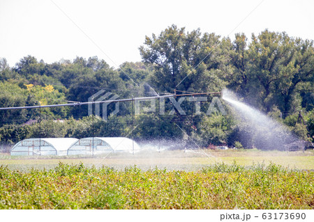 An irrigation pivot watering a field of turnips. An irrigation pivot watering a field of turnips. 63173690