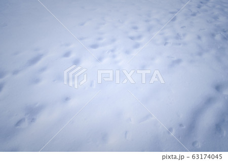 Snowfall texture background. White snow sparkling. 63174045