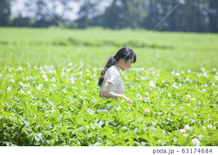 農家の女性 農家の女性 63174684