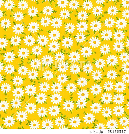 Daisy seamless pattern on yellow background.... - Stock Illustration  [63176557] - PIXTA
