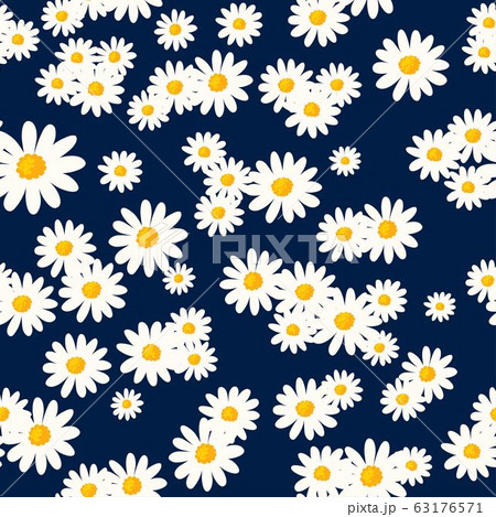 Daisy seamless pattern on dark blue background. Floral ditsy print with small white flowers 63176571