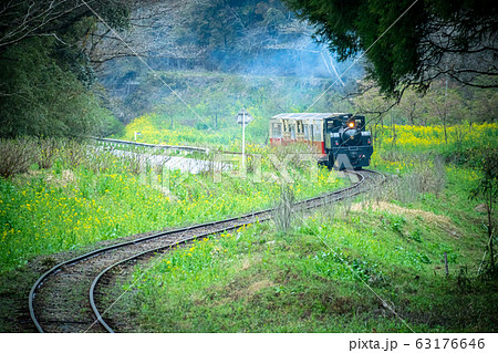 千葉県小湊鉄道　菜の花畑を走る機関車 63176646