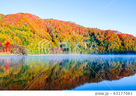 中綱湖の紅葉 63177061