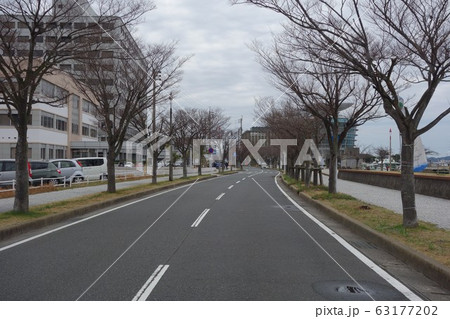 門司港西海岸通り　桜並木 63177202