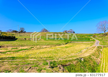 原城跡　【長崎県南島原市】 63177917