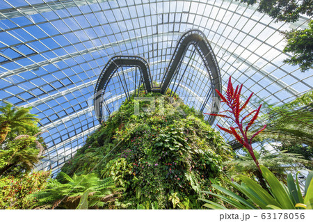 クラウド・フォレスト07 63178056