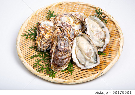 牡蠣 食材 牡蠣 食材 63179631