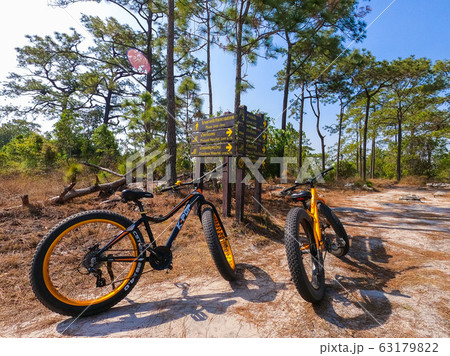 traveller is ride a bicycle for sightseeing in 63179822