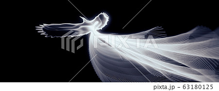 暗闇に羽ばたく光輝く抽象的な白い鳥のイラスト素材