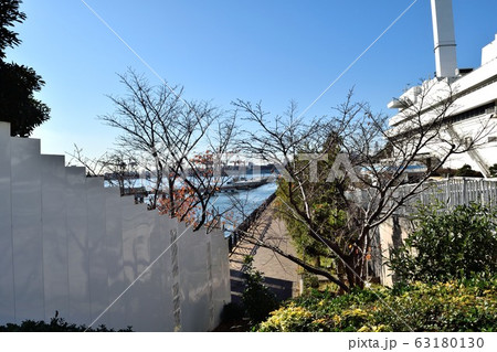 東八潮緑道公園 品川埠頭コンテナ群 63180130