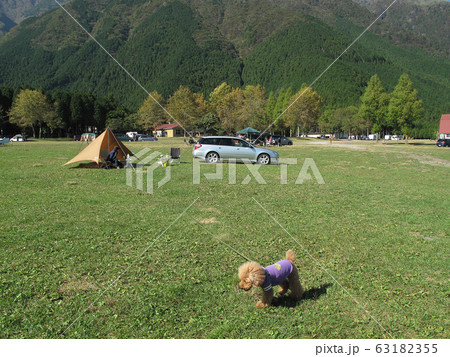 愛犬とデイキャンプ 63182355