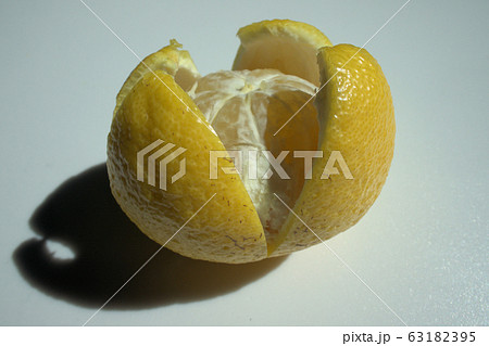 果物　はるか 63182395