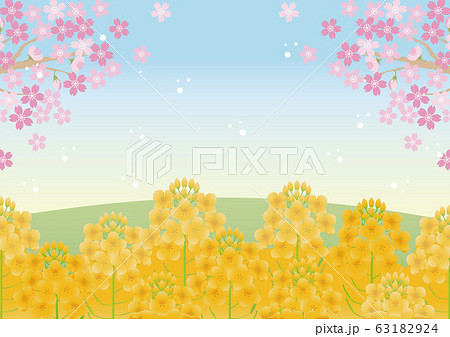 菜の花 さくら 春 花 風景 背景 コピースペース 菜の花 さくら 春 花 風景 背景 コピースペース 63182924