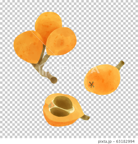 果物　枇杷の実　水彩 63182994