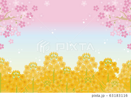 菜の花 さくら 春 花 風景 背景 コピースペースのイラスト素材