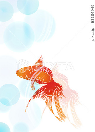 金魚 暑中見舞い 夏 背景のイラスト素材