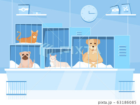 Animal Shelter Cages Composition 63186085