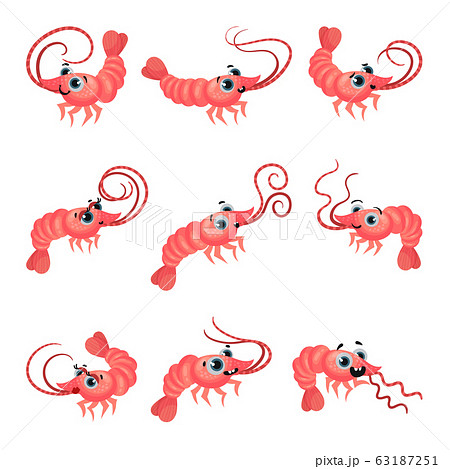 Cute Shrimp Cartoon Character With Big Eyes のイラスト素材