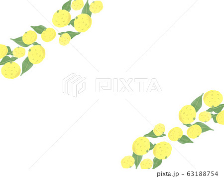 柚子のフレーム 水彩のイラスト素材