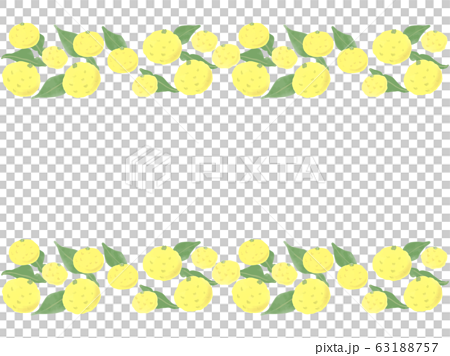柚子のフレーム 水彩のイラスト素材