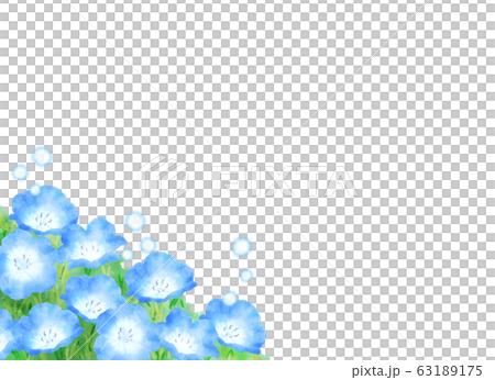 Flower field nemophila field illustration background material Flower field nemophila field illustration background material 63189175