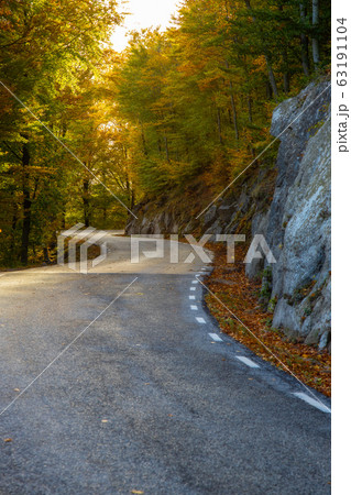 Road on the autumnal beech forest, mountain Road on the autumnal beech forest, mountain 63191104