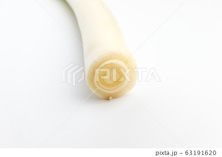 波 ネギ 野菜 63191620
