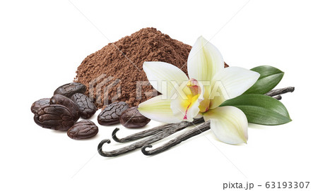 Cocoa powder, roasted beans and vanilla with flower 63193307