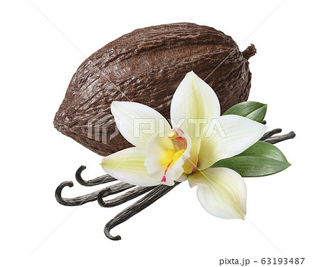 Cocoa pod and vanilla beans with flower isolated on white background 63193487