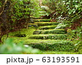 苔むす階段 63193591