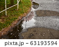 春の雨上がり 63193594