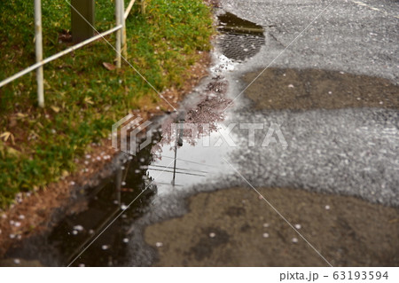 春の雨上がり 春の雨上がり 63193594