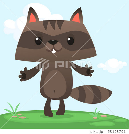 Funny cartoon raccoon Funny cartoon raccoon 63193791