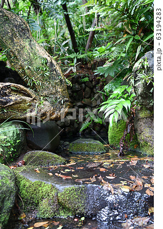 街景色　東京日野市　梅雨の季節 63194283