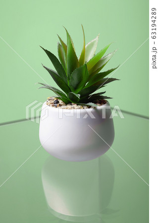 abstract still life. Lonely Cactus on glass table abstract still life. Lonely Cactus on glass table 63194289