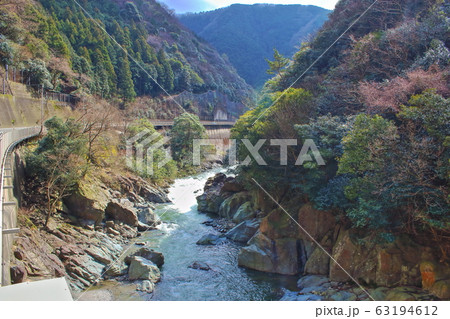 【愛媛県】　愛媛　桜三里 63194612