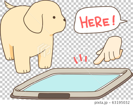 金毛小狗（訓練廁所） 63195032