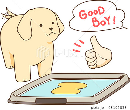 ゴールデンレトリバーの子犬(トイレを褒める) ゴールデンレトリバーの子犬(トイレを褒める) 63195033