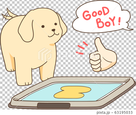 ゴールデンレトリバーの子犬(トイレを褒める) ゴールデンレトリバーの子犬(トイレを褒める) 63195033