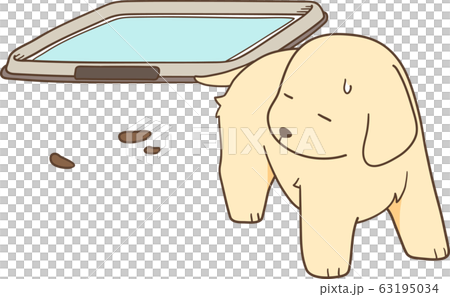 ゴールデンレトリバーの子犬(トイレを失敗する) ゴールデンレトリバーの子犬(トイレを失敗する) 63195034