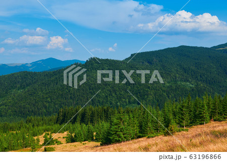 wild nature, summer landscape in carpathian 63196866
