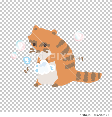 washing one's hand, racoon, prevention 63200577