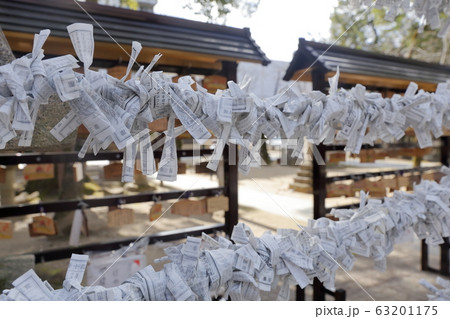 那古野神社　おみくじ（愛知県名古屋市） 63201175