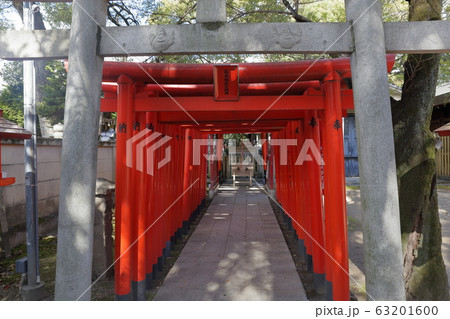鳥居 那古野神社(愛知県名古屋市) 鳥居 那古野神社(愛知県名古屋市) 63201600