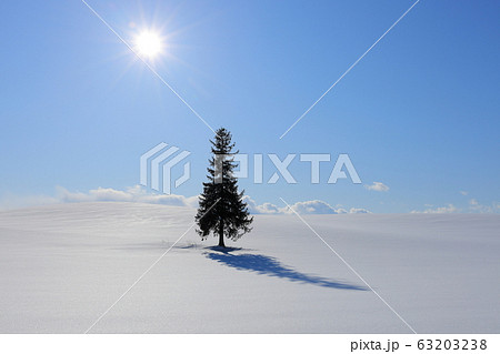 クリスマスツリーの木-冬 クリスマスツリーの木-冬 63203238