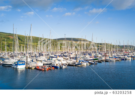 Forest of sailing yacht masts at Largs marina. 63203258