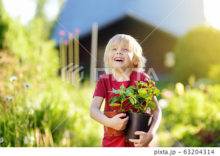 Little boy holding seedling in plastic pots Little boy holding seedling in plastic pots 63204314