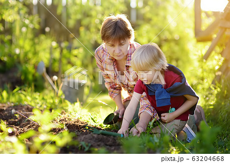 Little boy and woman planting seeds on beds Little boy and woman planting seeds on beds 63204668